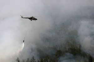 The World’s Largest Forest Has Been on Fire for Months