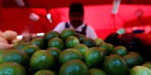 A Mexican gang hung 9 dead bodies from a bridge in a gruesome battle linked to control of the avocado trade