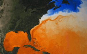The Gulf Stream is slowing down. That could mean rising seas and a hotter Florida