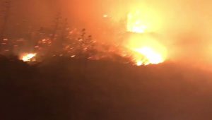 Wildfire on Spain’s Canary Islands Forces 1,000 People to Flee Their Homes