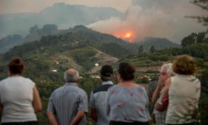 Gran Canaria wildfire triggers evacuation of thousands of people