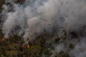Brazil Says It Will Reject Millions in Amazon Aid Pledged at G7