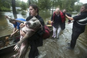 The Latest: Barges break loose in high water in Texas, strike bridge
