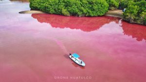 Lagoon Turns Bright Pink After Major Tropical Storm in Mexico (Videos and Pictures)
