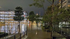 Typhoon Hagibus Death Toll In Japan Climbs: 19 Dead, 16 Missing