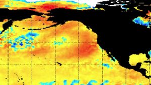 It’s Back! The Blob is Here and That’s Not a Good Thing