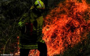 The day it didn’t rain: BOM predicts the first EVER completely dry day across Australia as bushfires rage