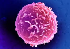 ISRAELI TEAM DISCOVERS CARDIAC ARRHYTHMIA-CAUSING GENE