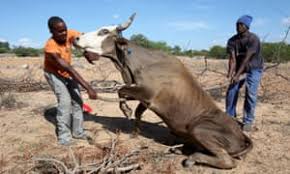 Britain pledges support as drought stalks Zimbabwe; Declared a State of Disaster
