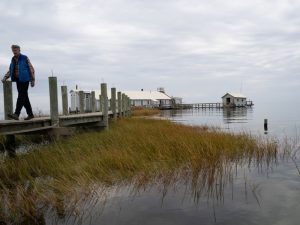 Rising Waters Are Swallowing A Chesapeake Education Center, Forcing It To Close