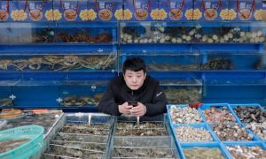 World Bank warns of global debt crisis amid borrowing buildup
