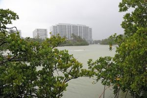 Fort Lauderdale’s busted pipes spilled 211.6 million gallons of sewage on waterways and roads