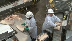 Tyson warns of coronavirus-related US meat shortages as livestock plants shutdown