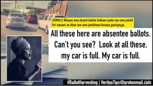 Project Veritas: CAR FULL OF ABSENTEE BALLOTS! MASSIVE VOTE FRAUD SCHEME EXPOSED!