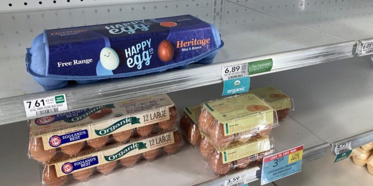 Egg Crisis! Can You Find Eggs Here or There? Can You Find Them Anywhere?