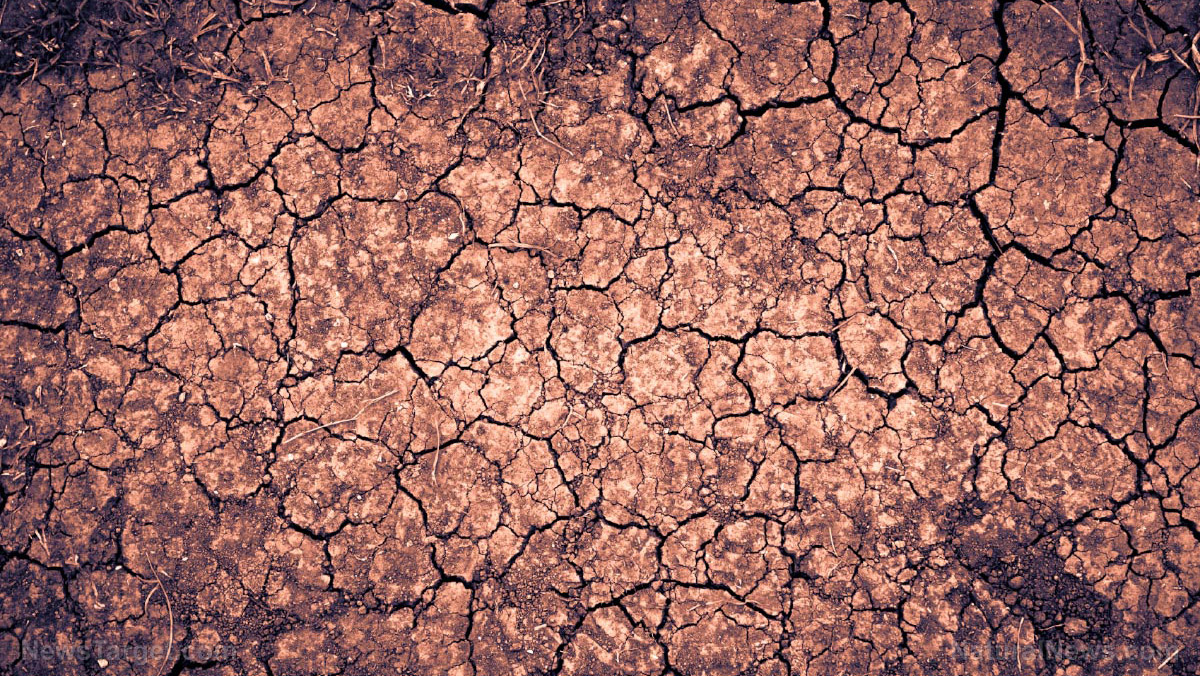 The dying of the West: Lake Mead and Lake Powell may not refill “in our lifetimes” warn experts