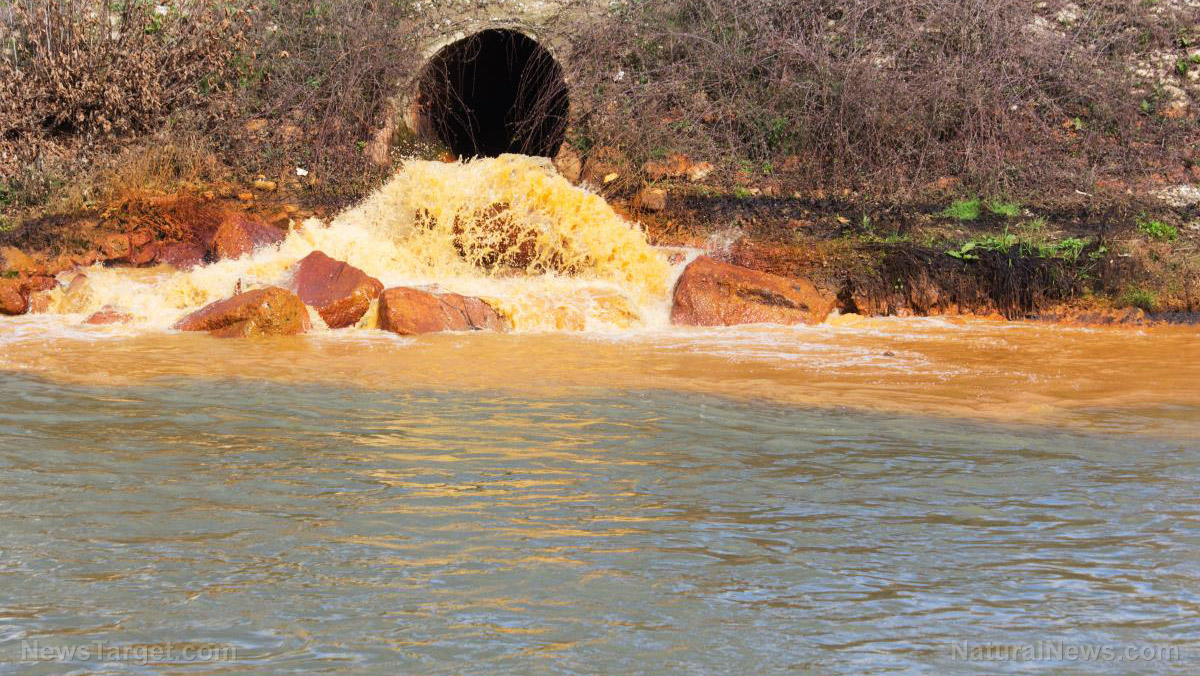 Millions of gallons of untreated sewage from Mexico spilling into San Diego, forcing beach closures