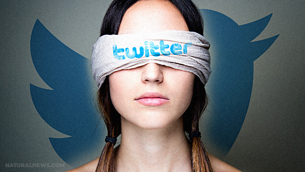 Twitter exposes how govt. funded a ‘cottage industry’ of ‘disinformation labs’ that were used to censor real info and ban truth-tellers