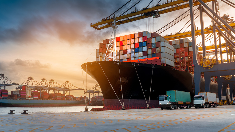 Cost of shipping cargo across the seas in freefall due to lower demand