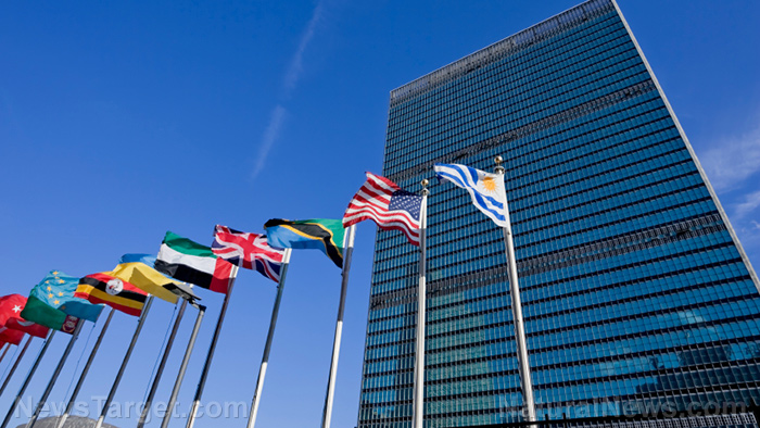 UN’s “A Global Digital Compact” to create Internet 2.0 with no freedom of speech and social credit scores for everyone