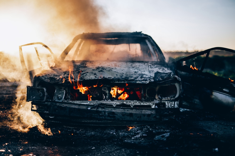 Parents find remains of teen son hugging dead dog in Maui home destroyed by wildfire