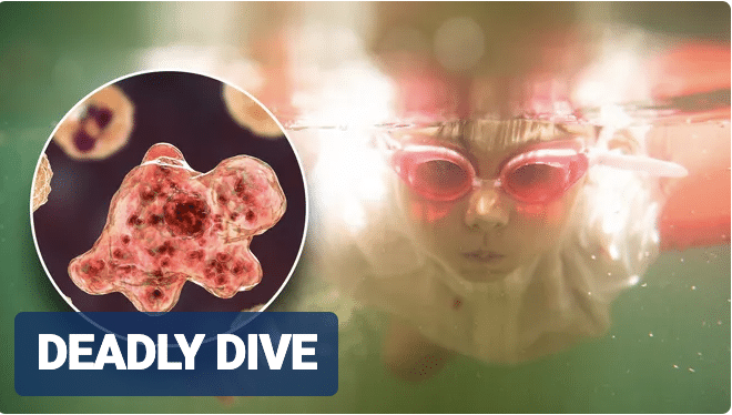 Brain-eating amoeba with near 100% fatality rate found at popular hot springs location