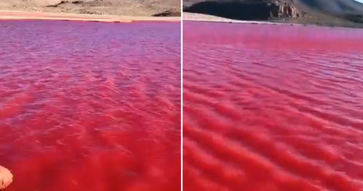 Signs: Nile River Turns Blood Red… Coincidentally!