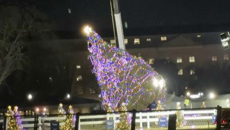 Dagon Statue? Watch as the National Christmas tree falls down