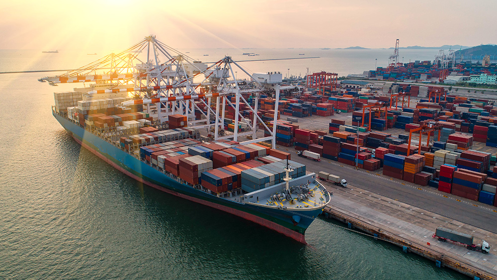 Major shipping giants HALT Red Sea route following Houthi attacks on shipping vessels