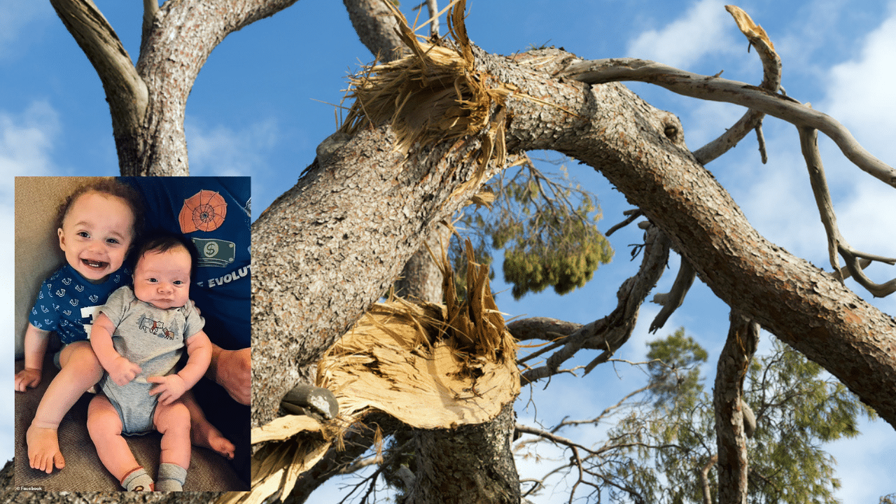 4-Month-old baby boy ripped from Tennessee home after being ‘sucked up’ by tornado found miraculously ALIVE in fallen tree