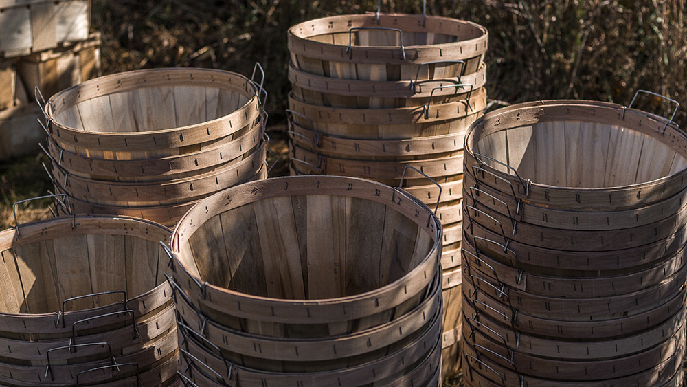 Starvation could lead to MASS DEATHS in the Gaza Strip, resident warns