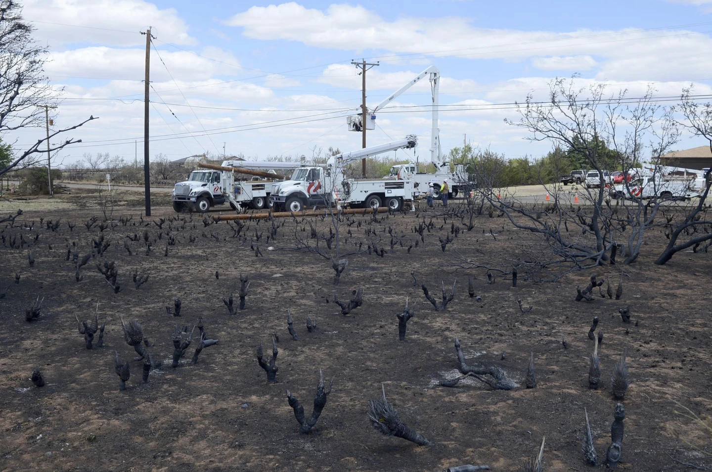 Power lines ignited the largest wildfire in Texas history and one nearby, officials say