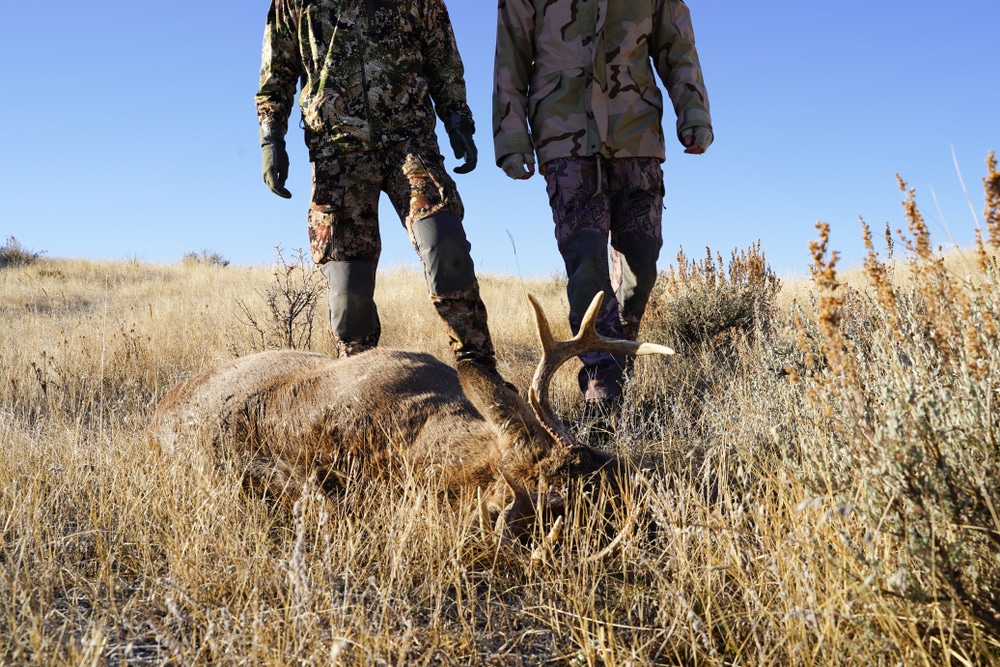 Food Control: Two hunters ‘become first Americans to die from ZOMBIE DEER disease’ after eating infected meat