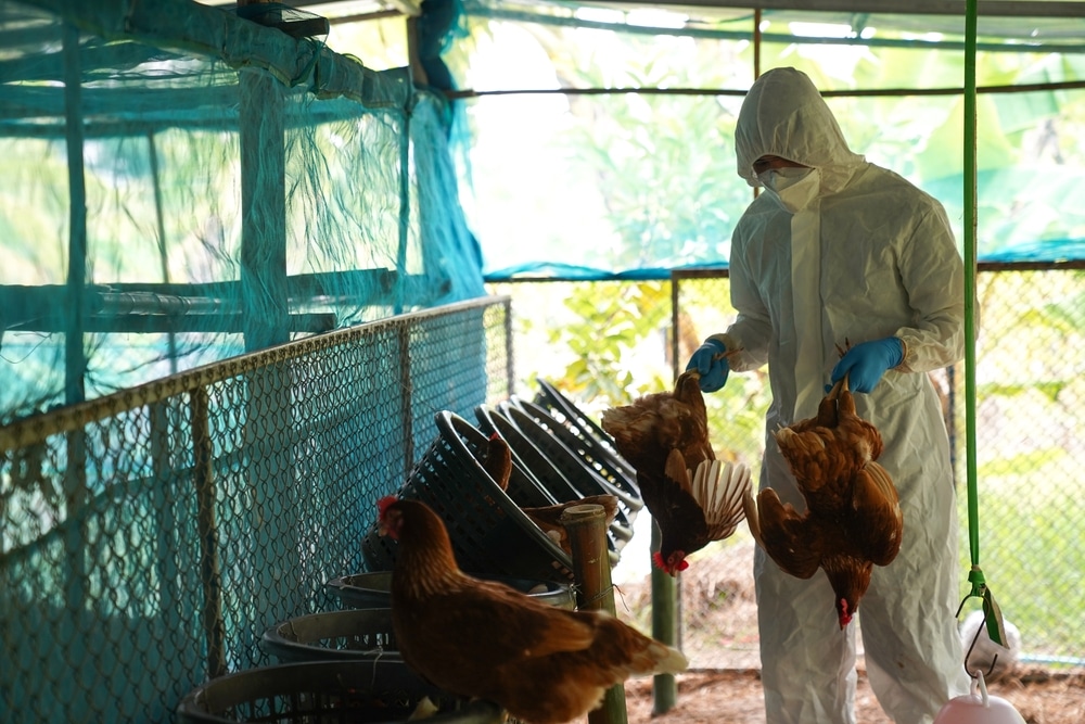 FOOD CONTROL: Is there more to this current “Bird Flu Panic” than what we are being told?