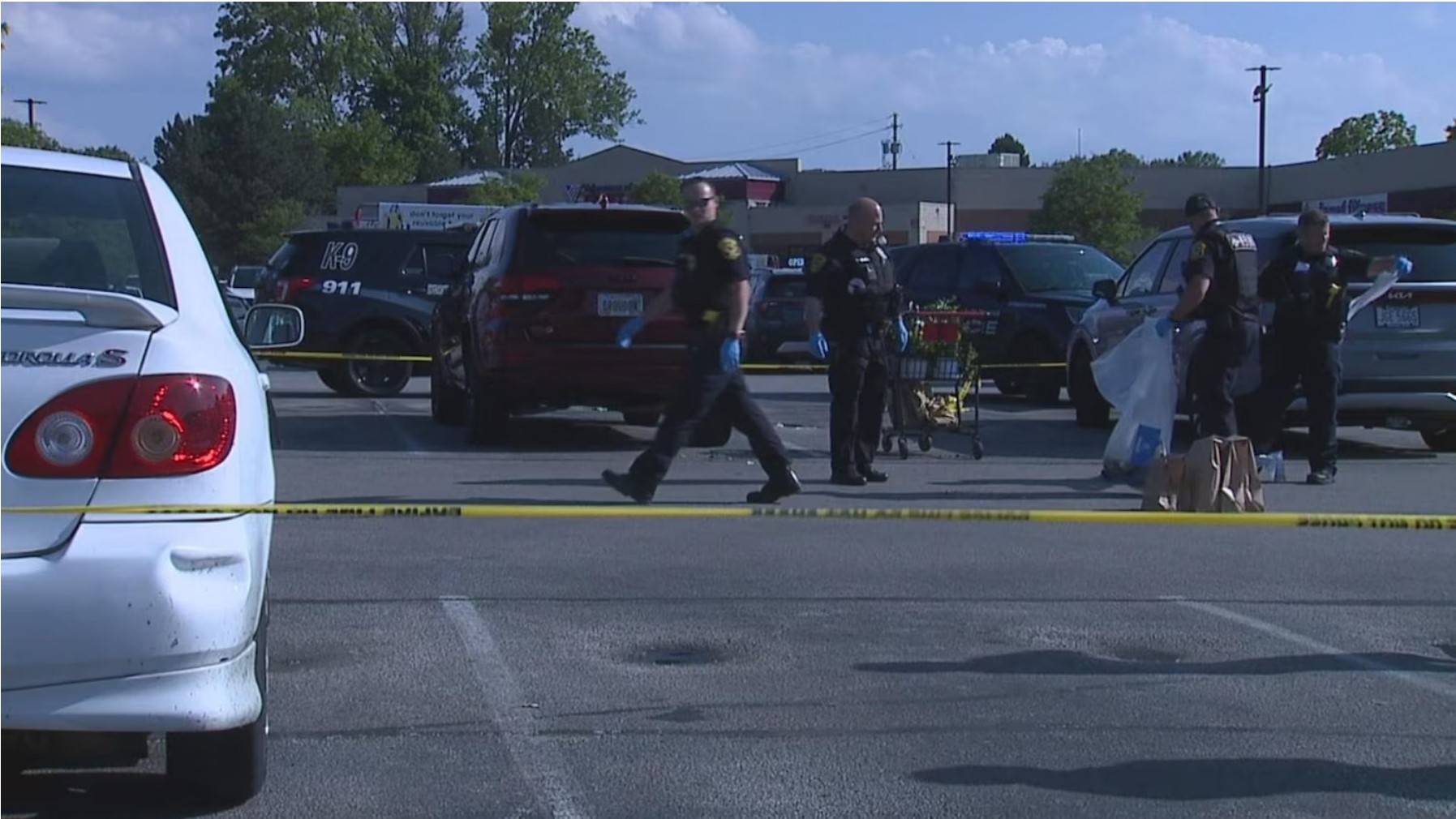 Woman allegedly stabs 3-year-old boy to death in random attack at grocery store parking lot