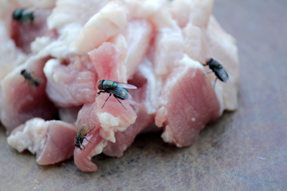 Two dead and 28 sick from sliced deli meat contaminated with deadly bacteria