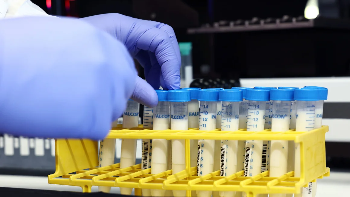 SETUP: How America lost control of the bird flu, setting the stage for another pandemic