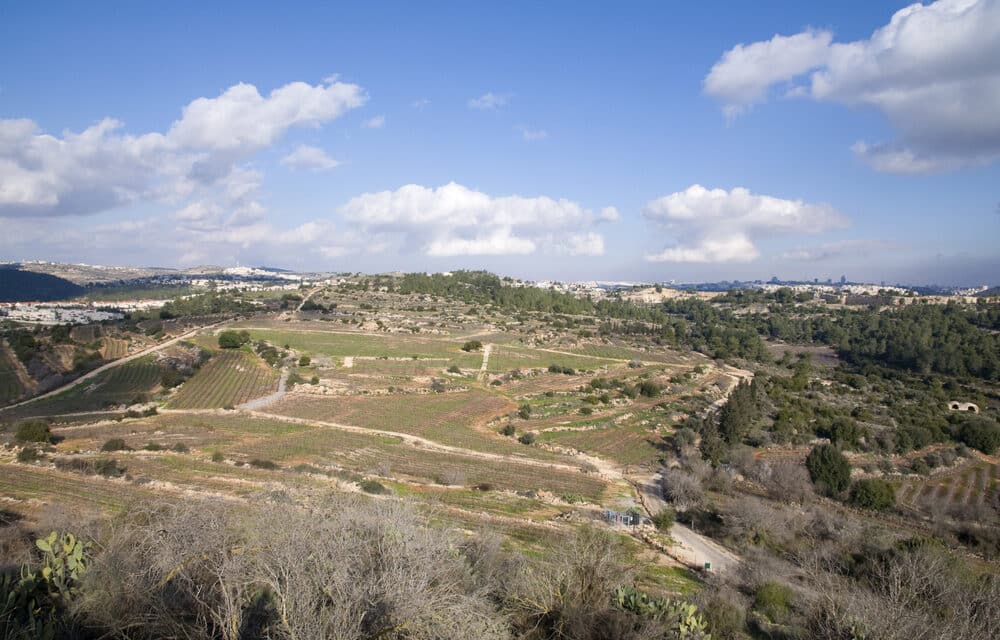 Group of Evangelical Leaders call for Israeli sovereignty over Judea and Samaria in Jerusalem