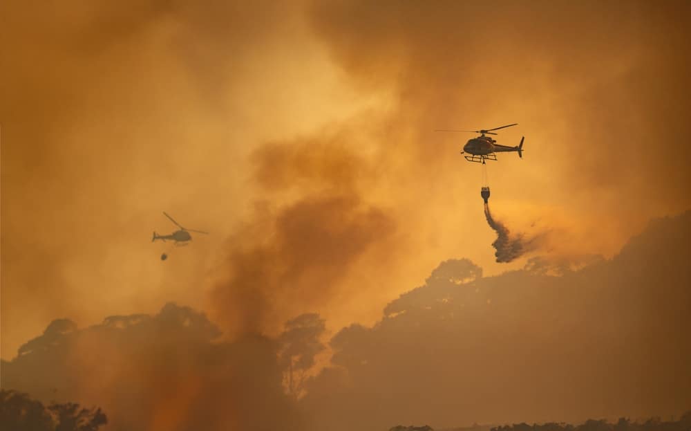 Deadly Ambush on Firefighters Amid Idaho Wildfire Crisis