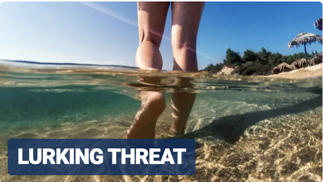 Killer bacteria claim the lives of four people in Florida as officials issue urgent warning