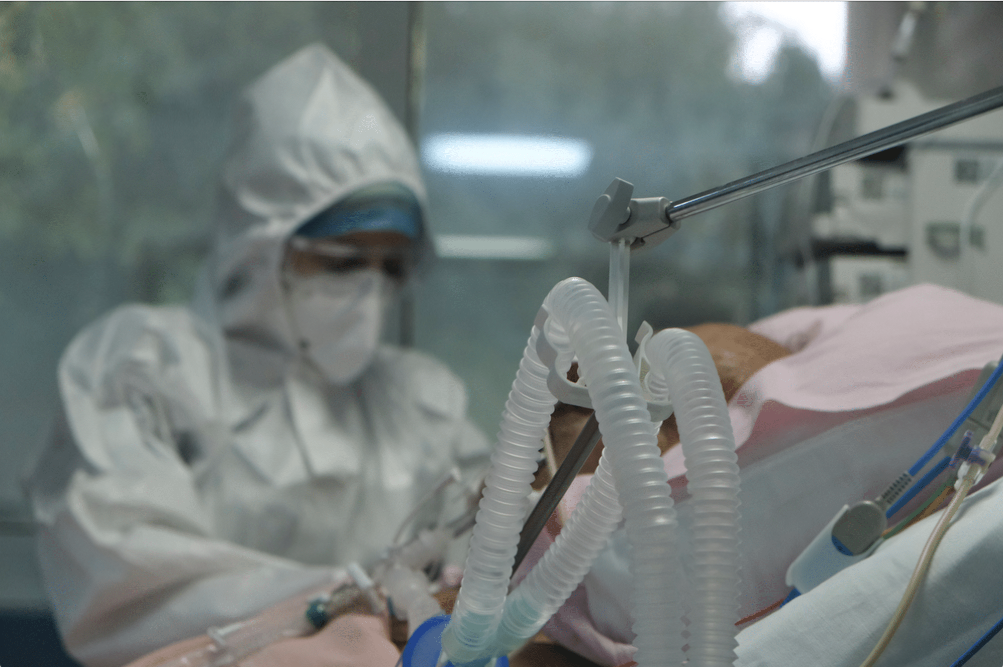 Case of the flesh-eating screwworm parasite identified in Maryland resident who had traveled from Guatemala