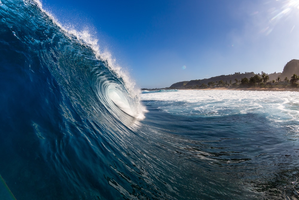 Scientists sound the alarm regarding potentially devastating mega-tsunami that could strike the U.S. Pacific Coast