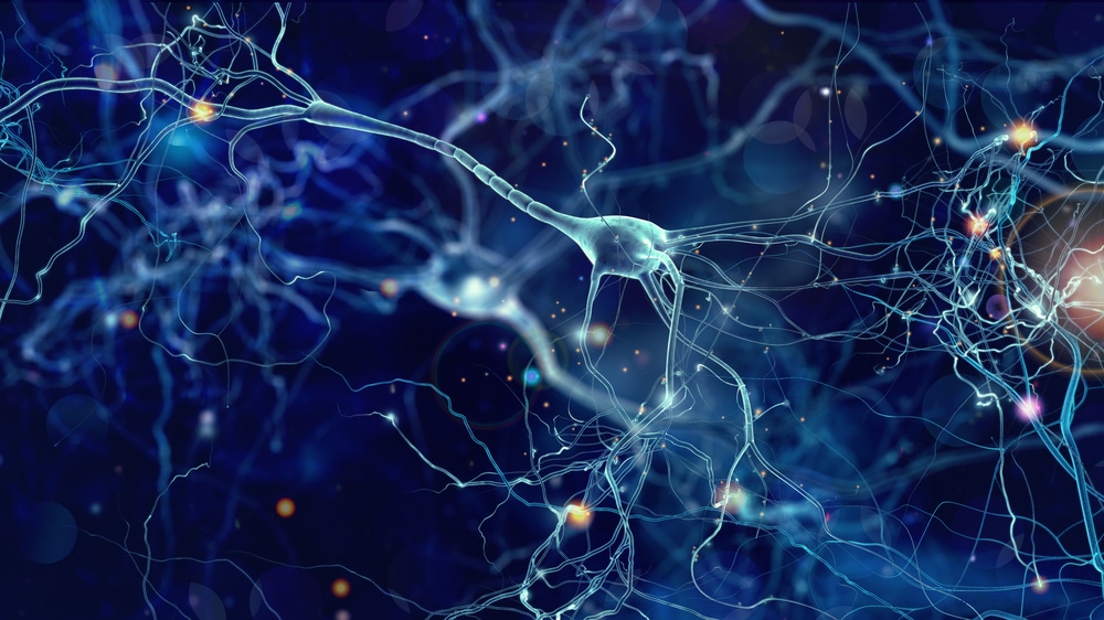 Scientist warns new synthetic life form could spell the end for humanity