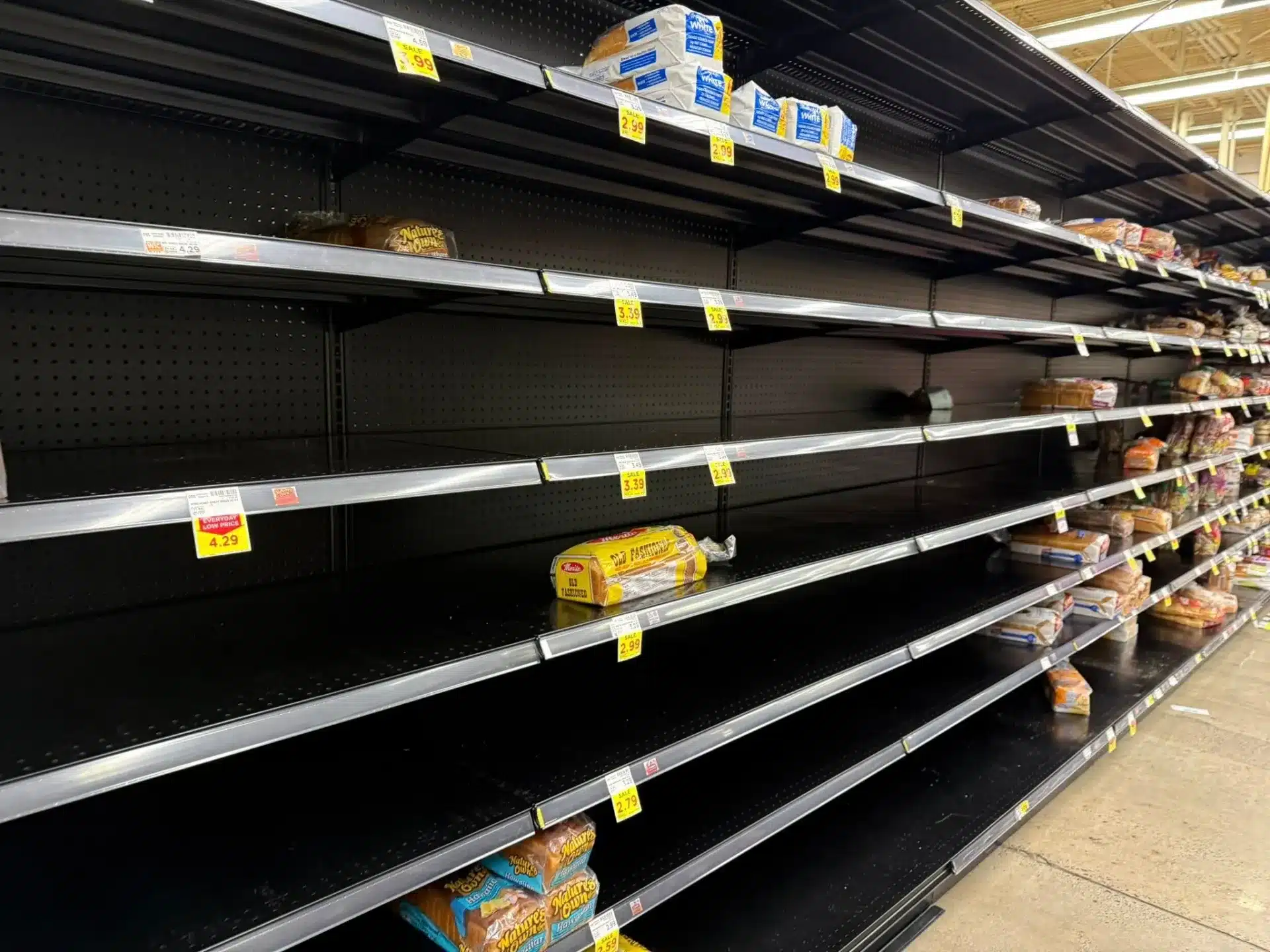 ‘Apocalyptic’ scene as Trader Joe’s and Krogers shelves WIPED OUT before winter storm – scared shoppers beg to restock