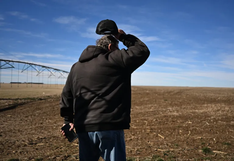 Drought Grips Great Plains, Threatening US Wheat Harvests and Forcing Cattle Herd Reductions