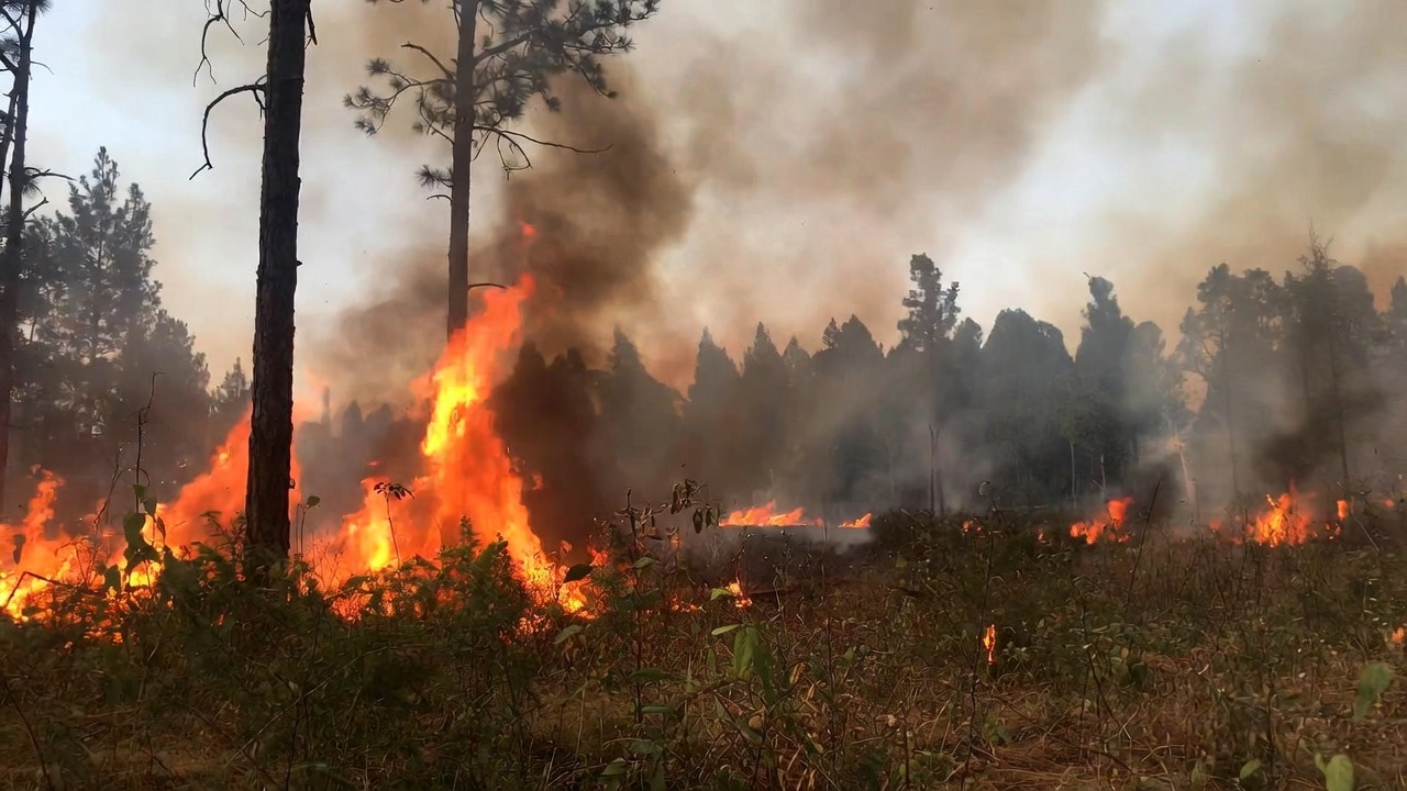 Pineland Road Fire in GA grows to 32,000 acres, threatens hundreds of structures