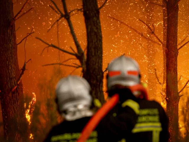 Nine in Ten ‘Wildfires’ Started by Human Hands, French Government Admits